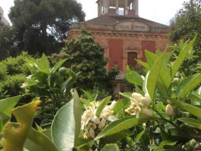 Villa Serafina-Spinelli tra i fiori della zagara: uno dei suoi tratti caratteristici � il giardino con l'agrumeto